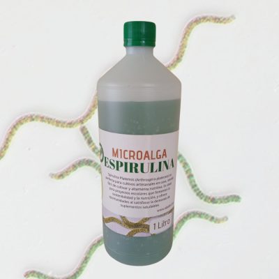 cepa de spirulina