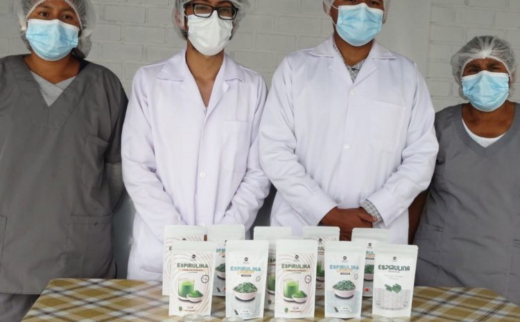  En Ayacucho ingenieros de la UNSCH cultivan espirulina