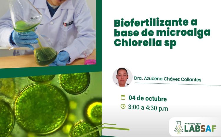  Biofertilizantes a base de Chlorella en cultivo de hortalizas